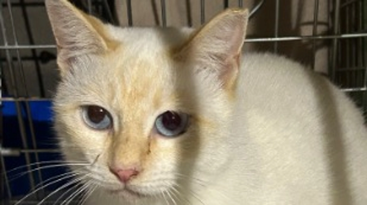 活動範囲の拡充とこれから