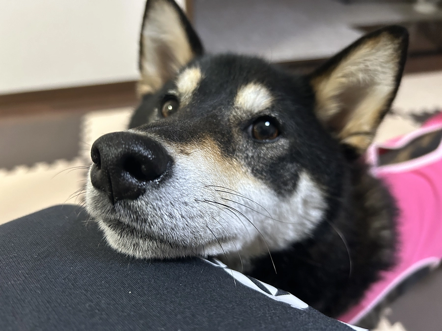 もう一度、プロジェクトの成功へ頑張ろうと思います。