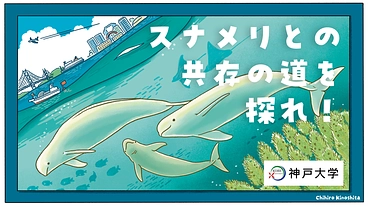 スナメリの未来を救え！大阪湾で生きるスナメリが人と共存するために のトップ画像