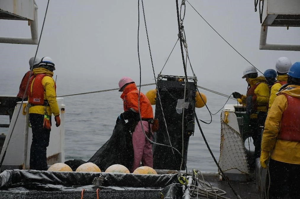 2024年1月27日「雪」