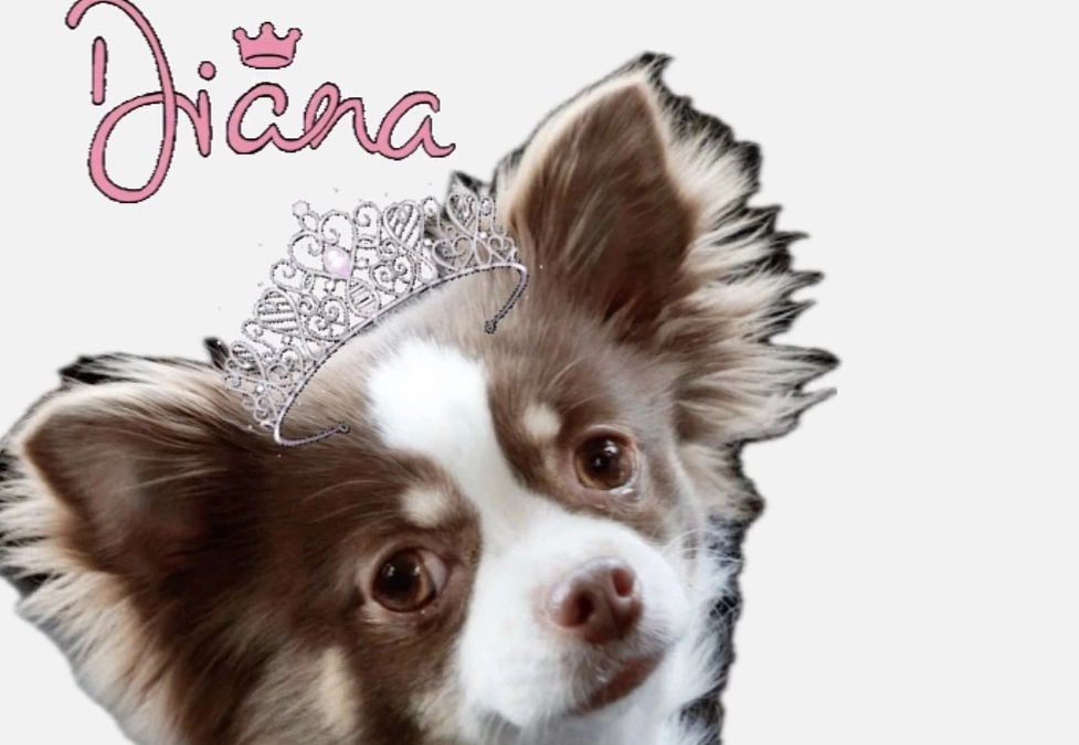 2024.01.15 残り3日となりました⚠️