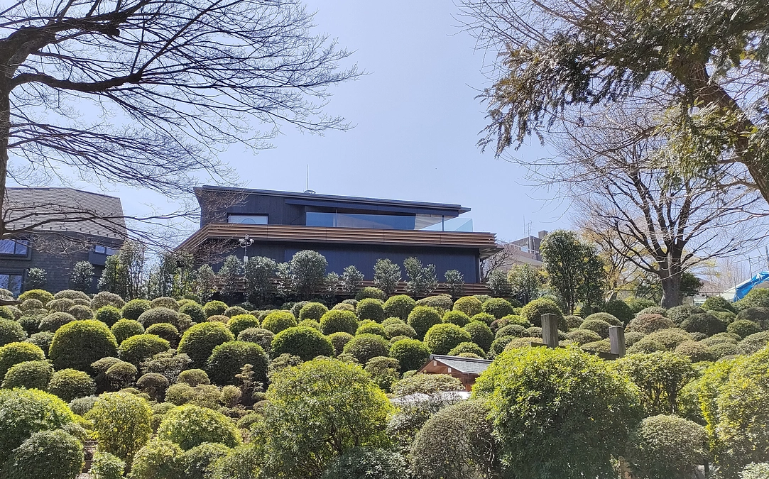 第53回 文京つつじまつりのご案内（令和6年3月30日(土)〜4月30日(火)）