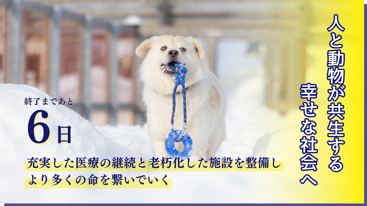 【カウントダウン｜残り6日】本日13時30分〜インスタライブ配信予定です！！！！