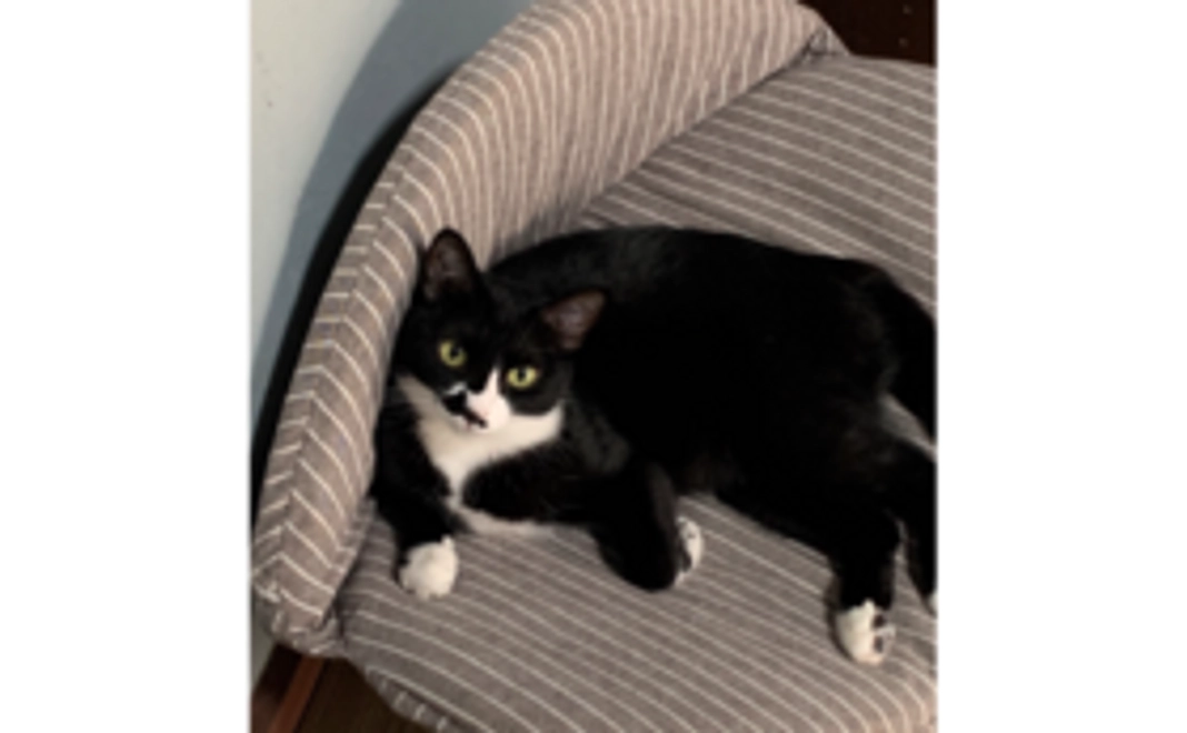 【リターンはご不要な方向け】全力応援コース