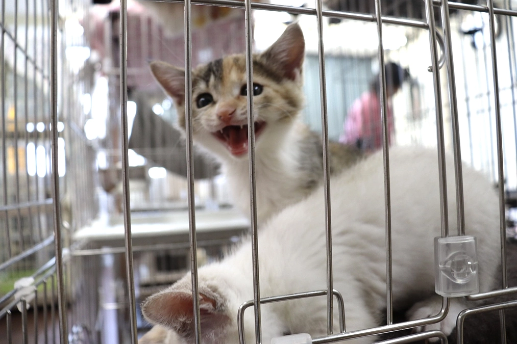 尊い命を守るためのプロジェクトが始まりました！