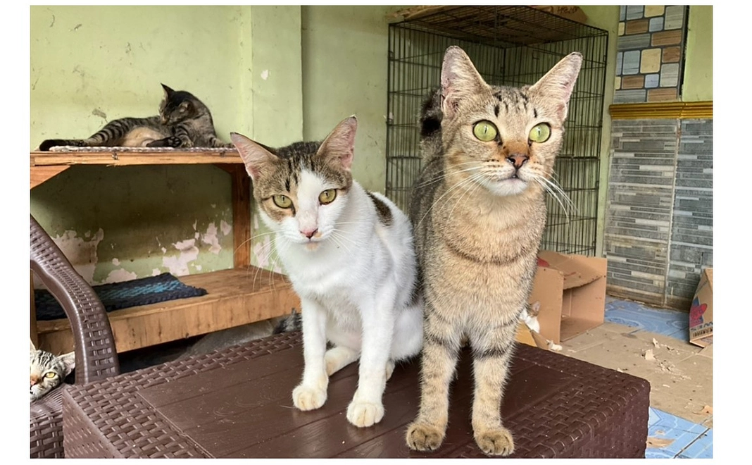 毎月ご支援3000円コース