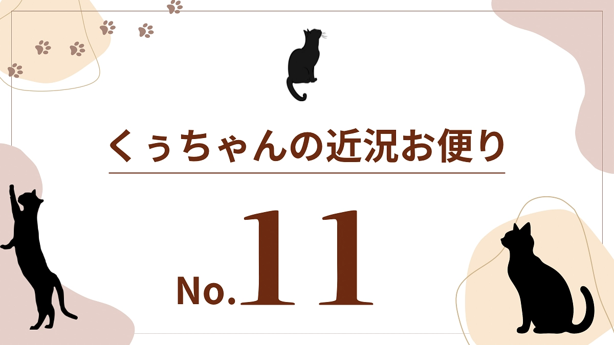 【くぅちゃんの近況おたより（8月17日）】