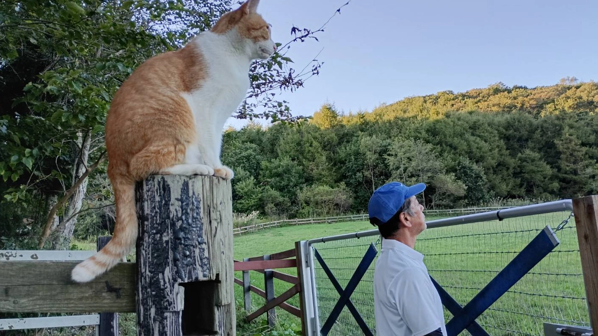 ネクストゴールに向けた挑戦について