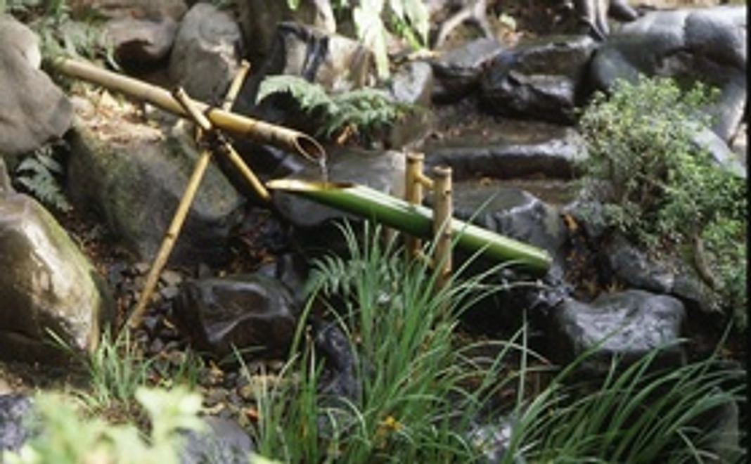 山ばな平八茶屋保全応援コース　3,000円