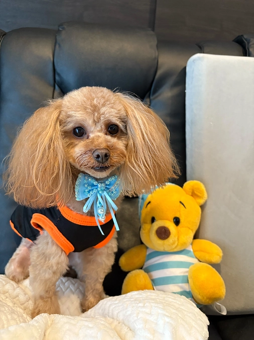 １１月８日のゆむ君