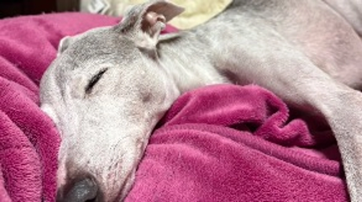 残り69時間🗓️達成率42%⏰💦