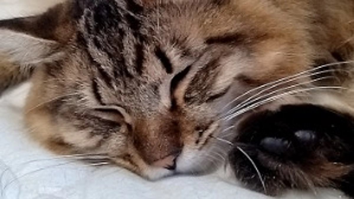 Instagramの投稿に関して