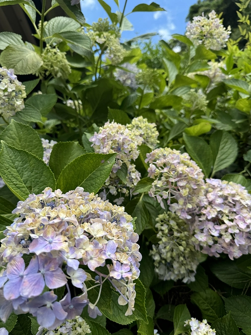 プロジェクト終了しました！