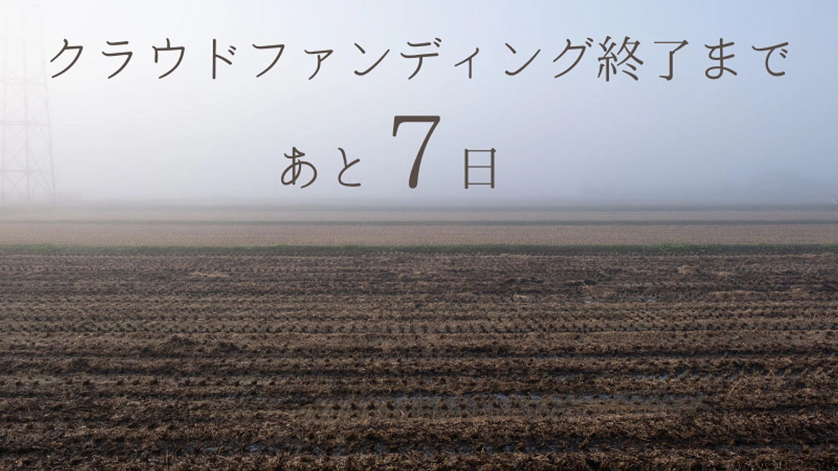 【残り7日】今日からカウントダウン開始します！