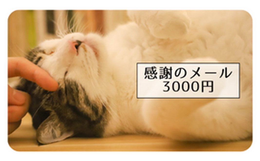 【感謝のメール】3000円