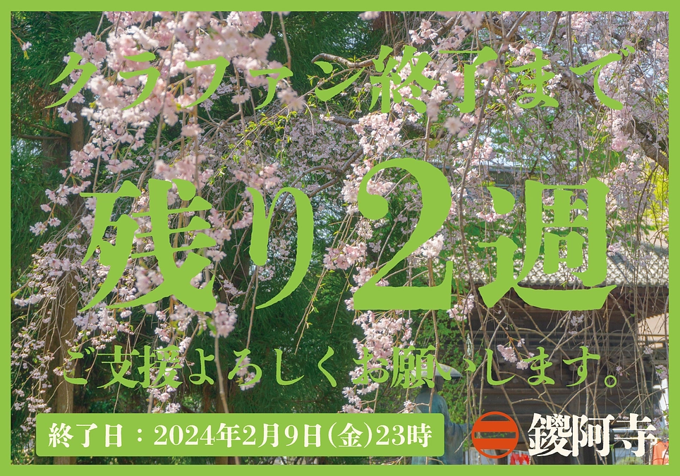 プロジェクト終了まで残り2週間となりました。