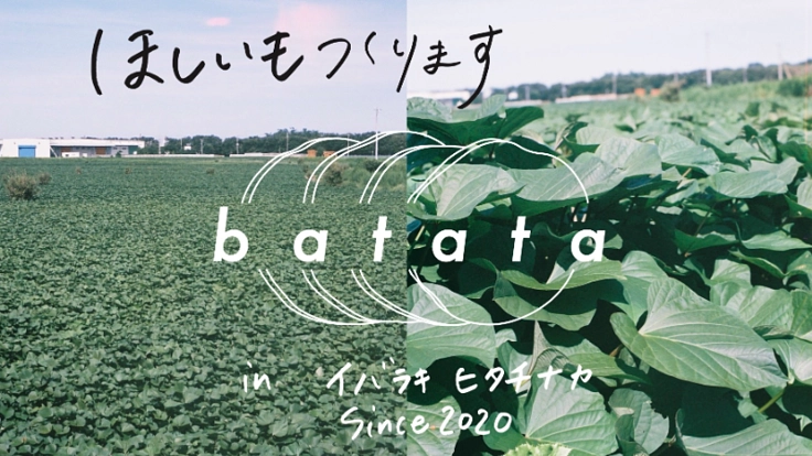 【ほしいも】故郷の食のカルチャーを自分たちの手で作りたい！