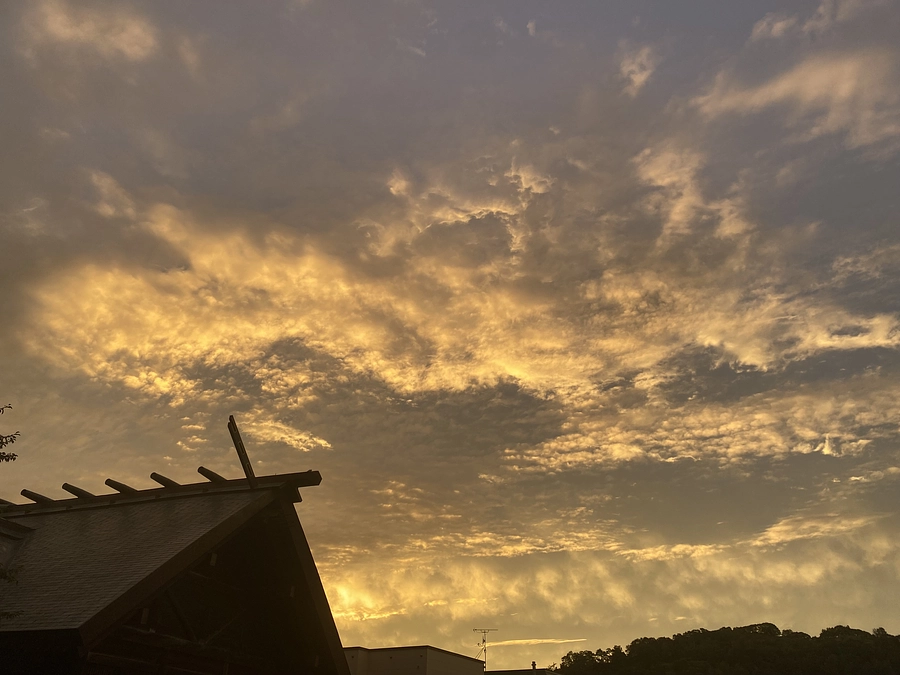 カウントダウンに合わせて、龍宮神社の龍神さまのお姿をご覧ください！