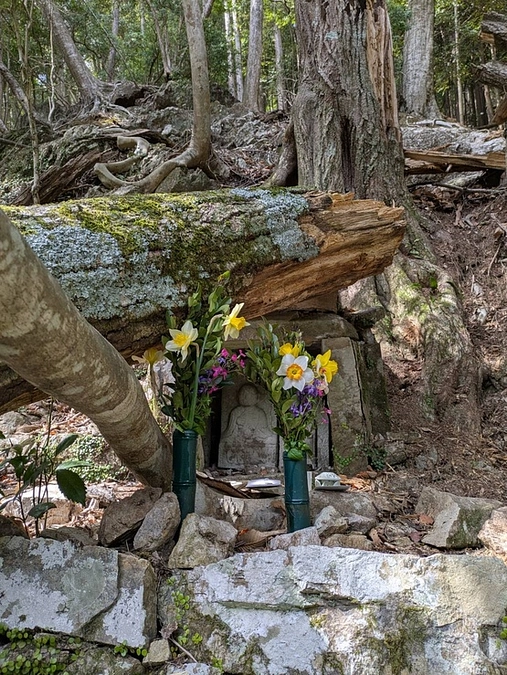 住職のひとりごとコラム：時折、舞い込む予期せぬ依頼　完結編