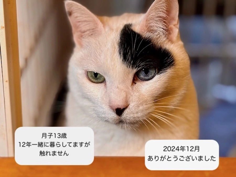 お礼とお知らせ　2024年12月