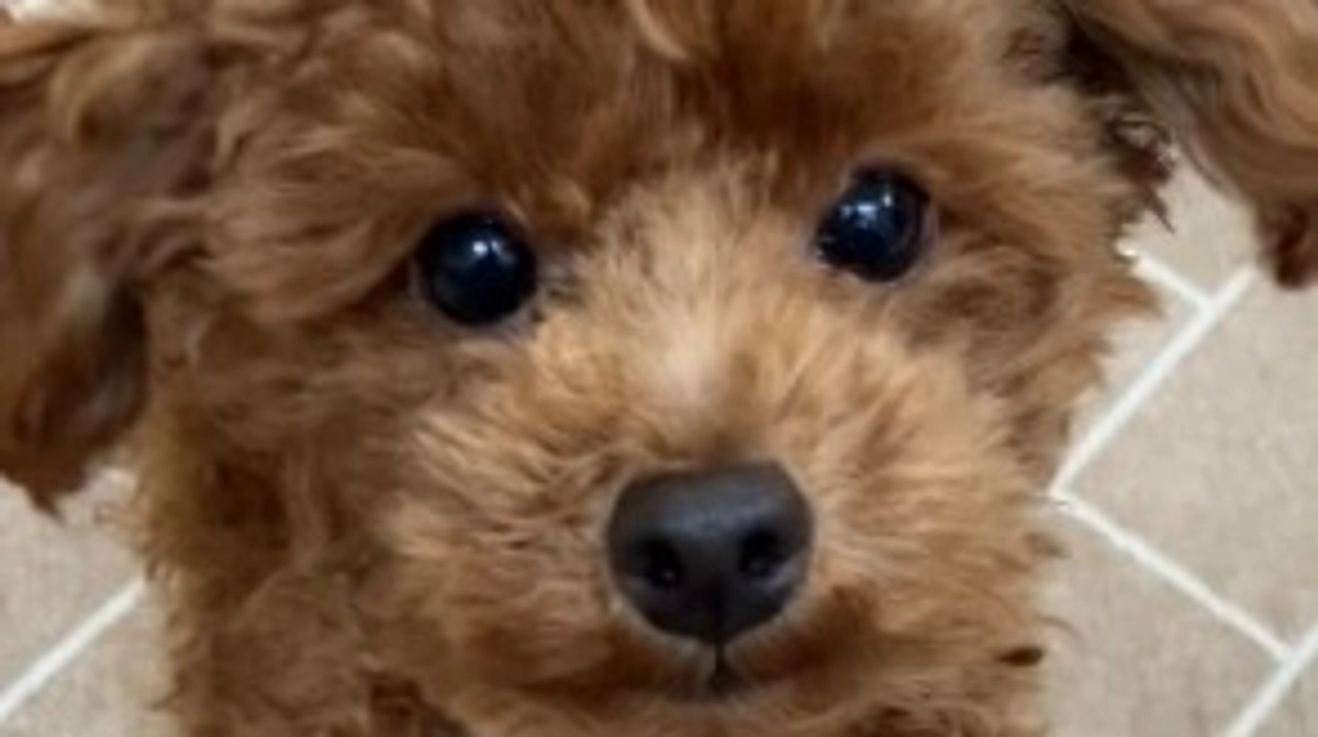 残り12時間です！！