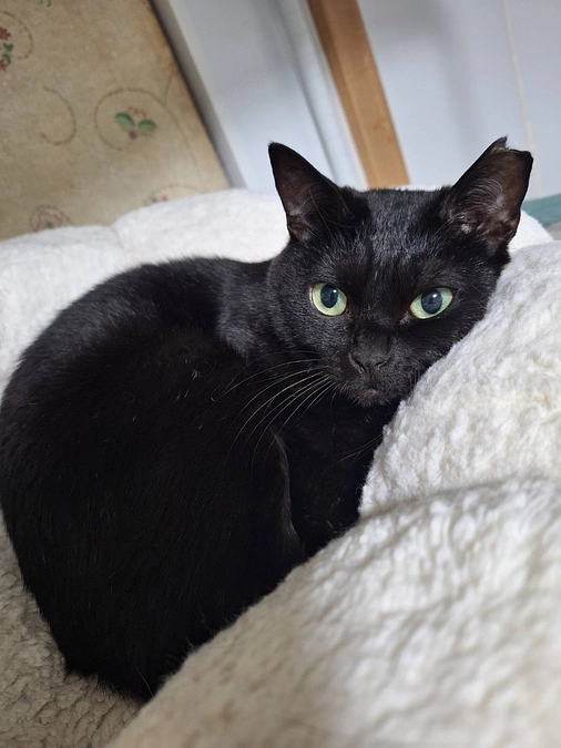 ネクストゴール達成に向けての挑戦