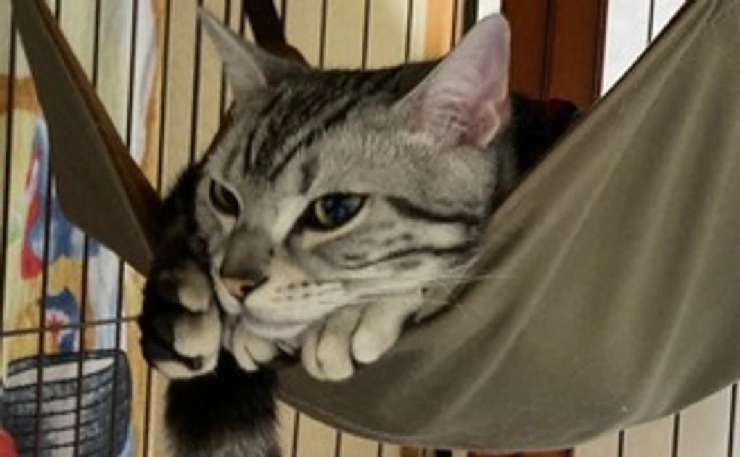 全額応援コース(3,000円)