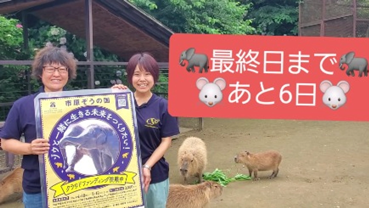 スタッフからのメッセージ☆最終日まであと６日