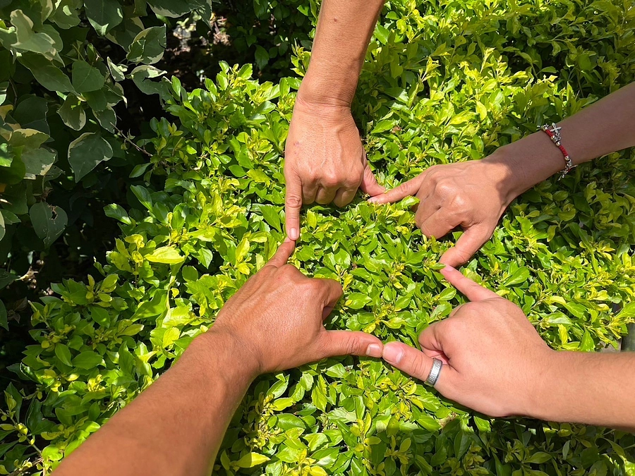 国際協力NGOセンター（JANIC）に入会しました