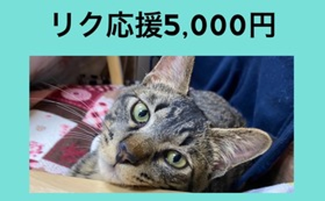 リク応援5,000円