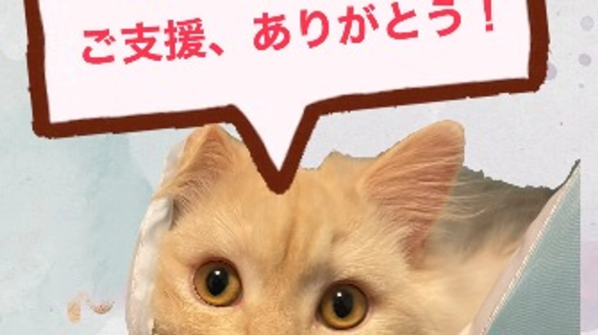 ご支援いただきありがとうございます🙇‍♀️