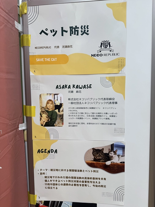 ネコ市ネコ座に参加しています