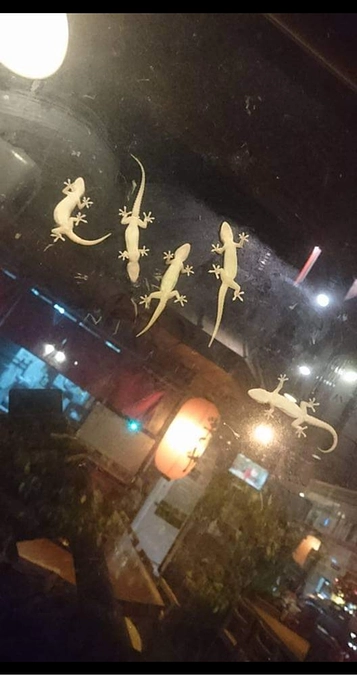 担当動物紹介～その３～