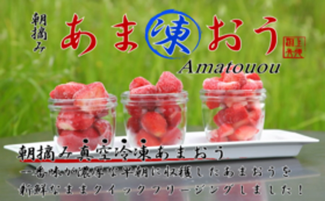 朝摘み新鮮冷凍あま凍おう約300g×4袋 朝摘みした新鮮なあまおうをクイックフリージングしました！