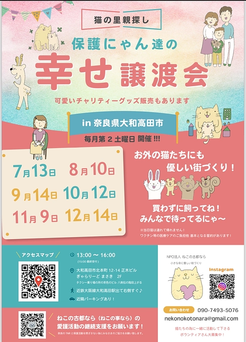 秋は🍁保護猫イベントが盛り沢山です🐱