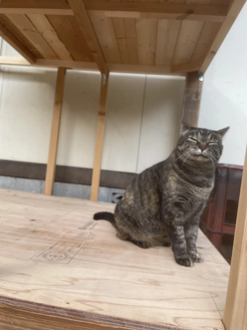 いよいよ残り2週間切りました…