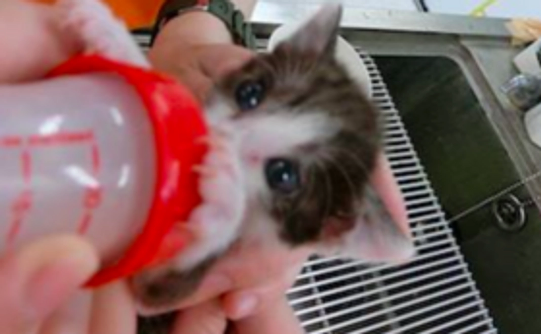 プロジェクト応援コース