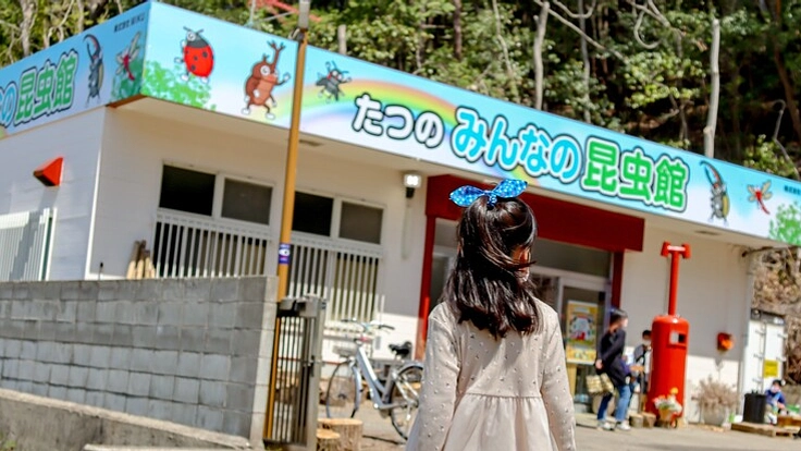 兵庫「たつの昆虫館 」の心でつなぐ昆虫館応援プロジェクト