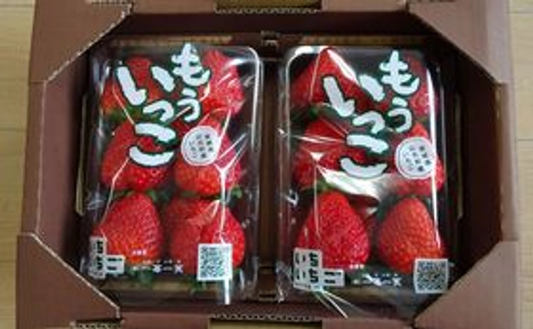 お楽しみセット【ご自宅用】