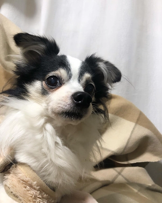 腫れが少しおさまってきた？