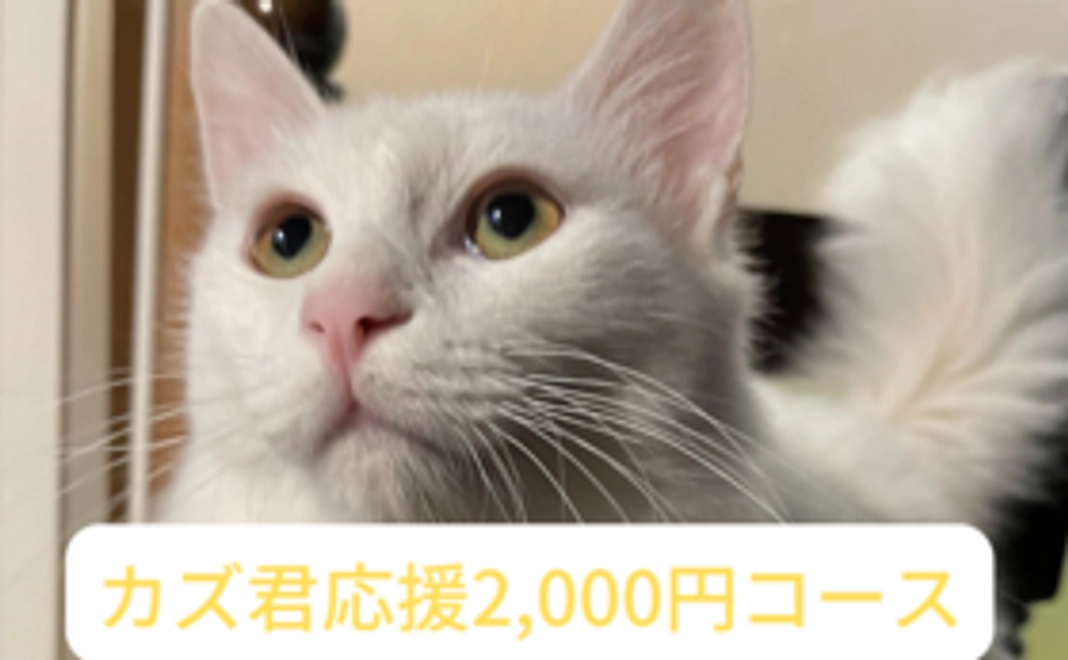カズ応援コース　2000円