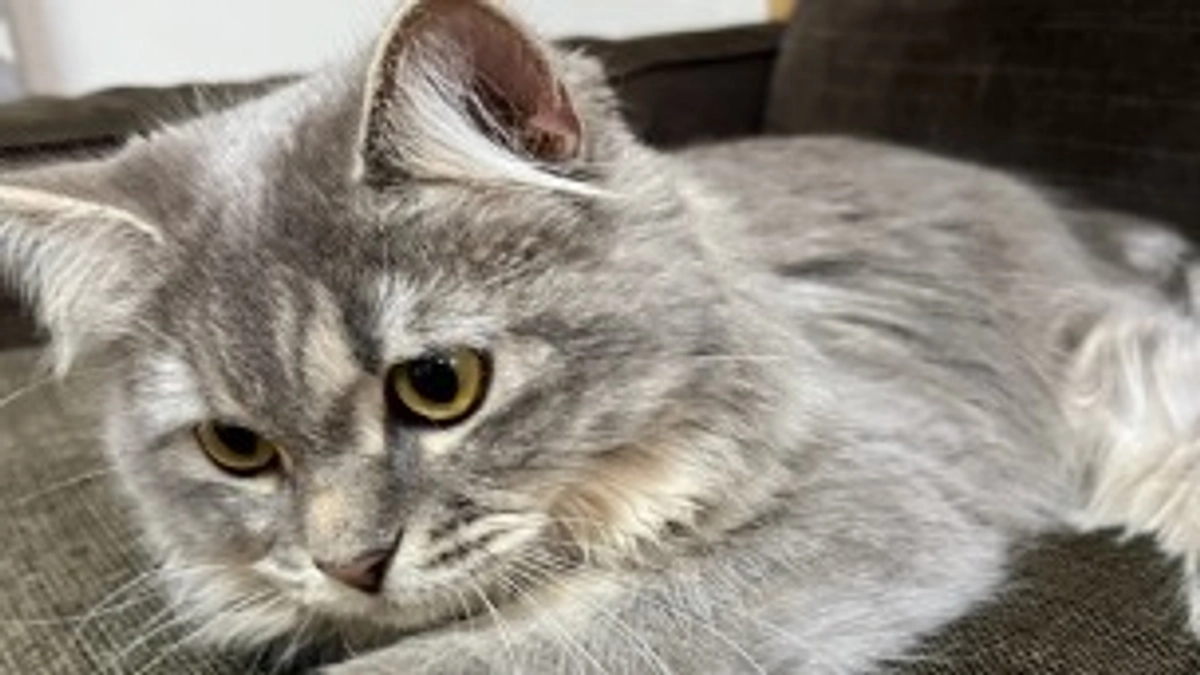 9/28  闘病32日目