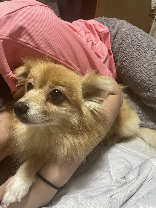 🆘残り5日達成度39％🆘