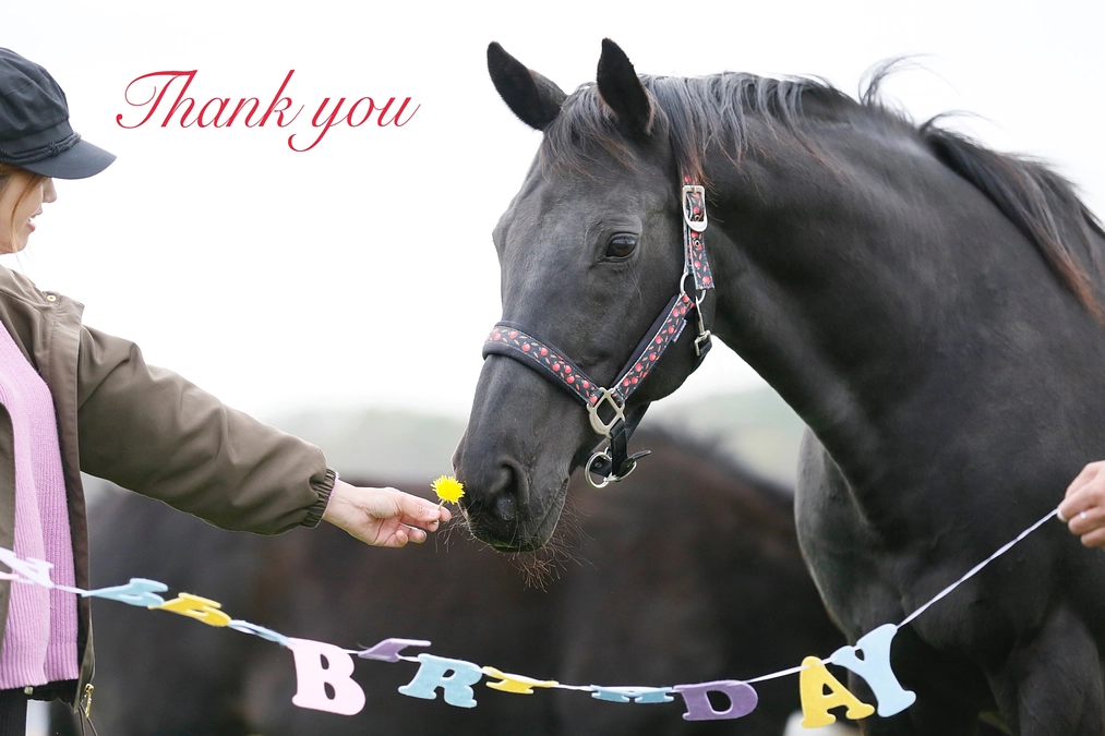 応援メッセージのご紹介11