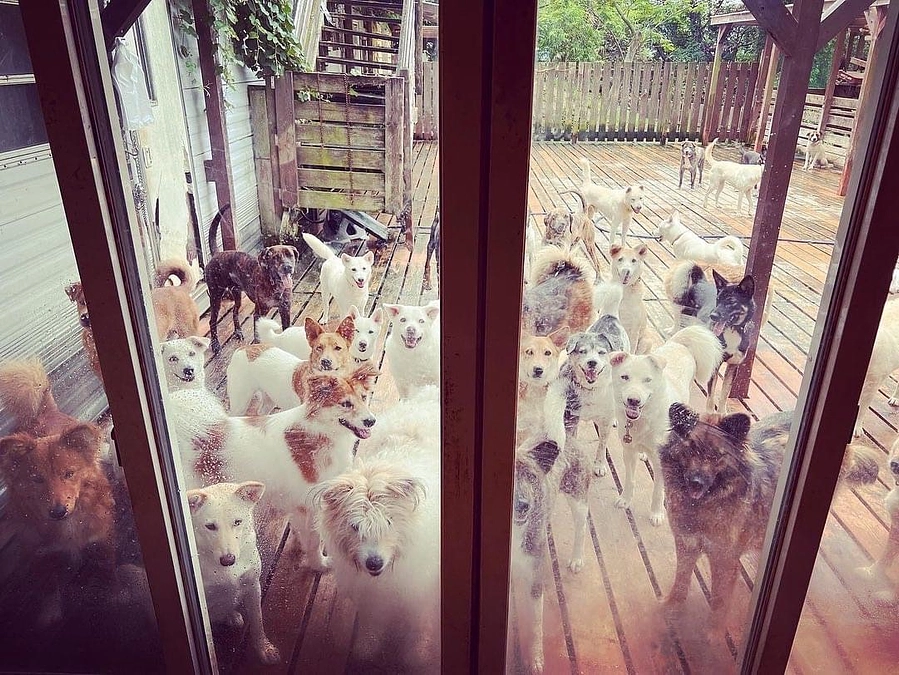 24時間365日負けないで生活するために。