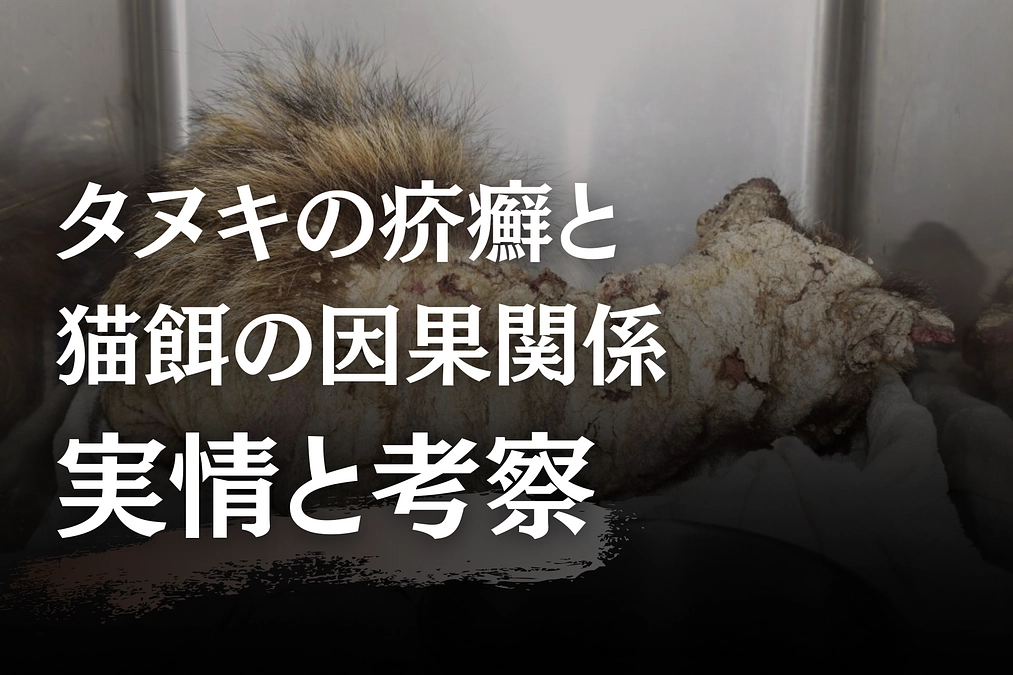 タヌキの疥癬と猫餌の因果関係　実情と考察