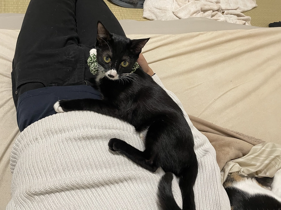 飲み薬開始その5！