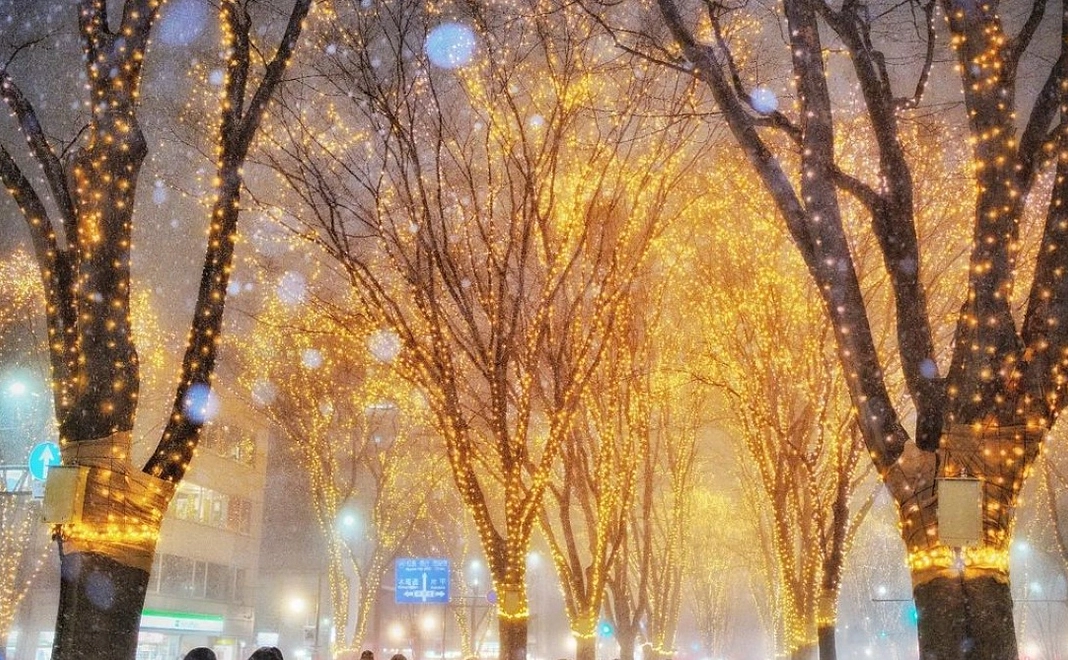 プロジェクト応援プランＡ