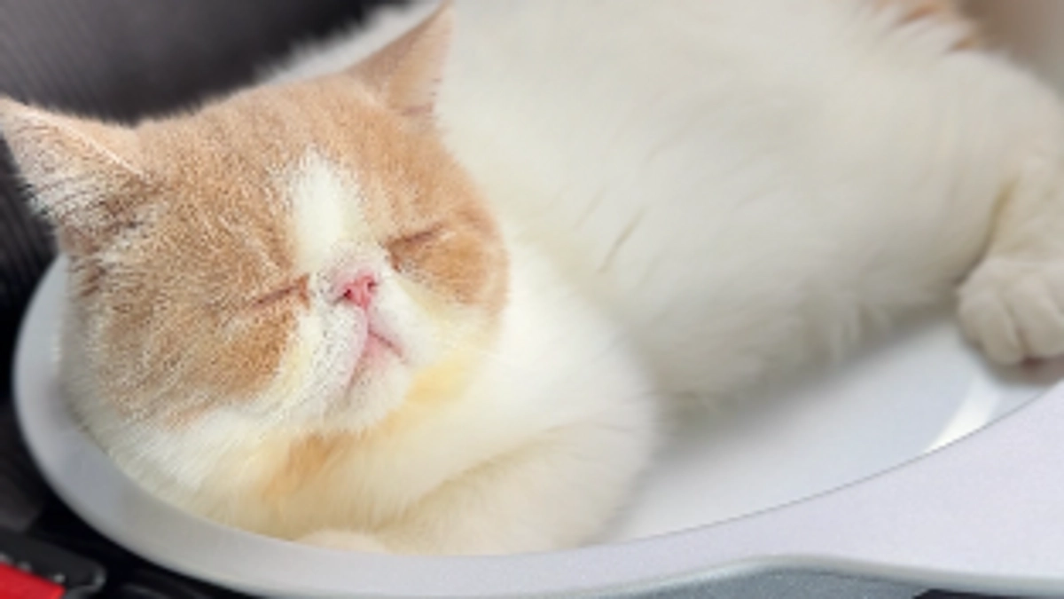 定期検診日🏥💊