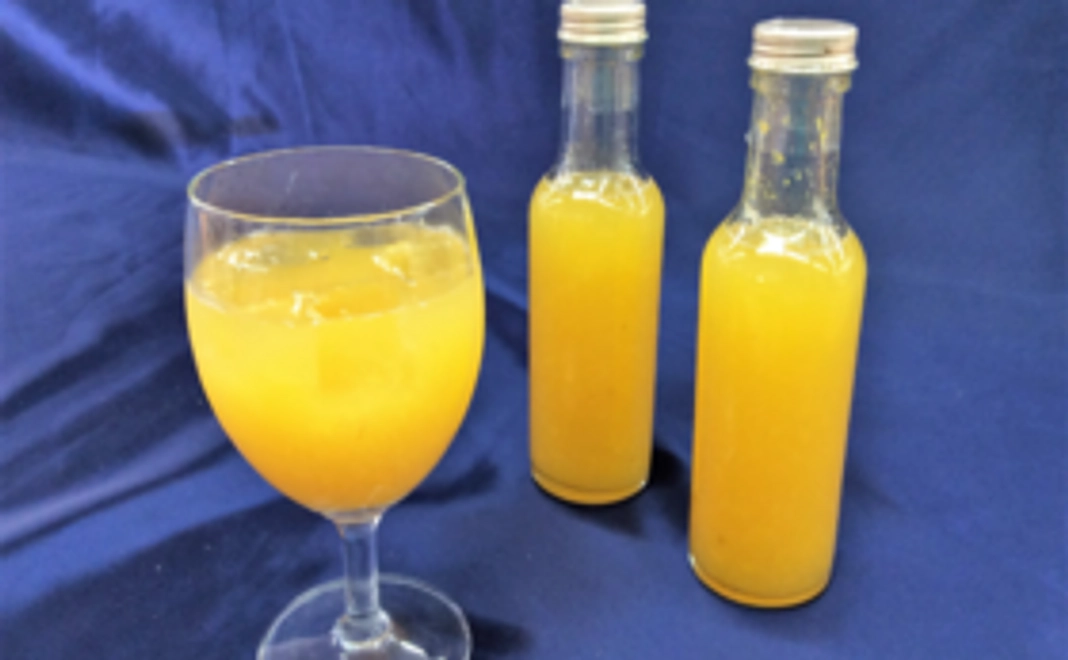 黄金桃ジュース＋半額入園チケットセット